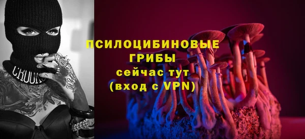 МДПВ Арсеньев