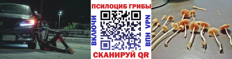 цена   Калязин  Псилоцибиновые грибы Magic Shrooms 